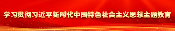 日女人的逼真爽学习贯彻习近平新时代中国特色社会主义思想主题教育